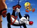 Looneytunes4