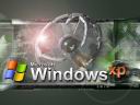 Windows29