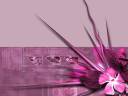 Design-058