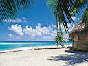 Tahiti-tike