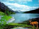 Mountain109