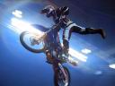 Cross29