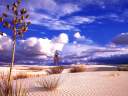 Desert1