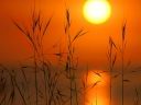 Sunset12