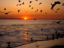 Sunset37